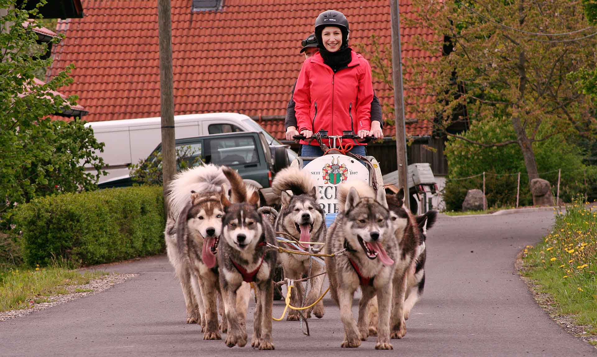 schlittenhunde tour deutschland